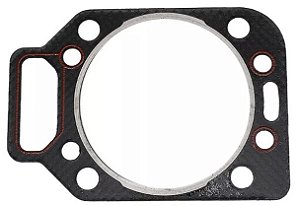 Junta Cabeçote Compatível Motor Mwm D229 Td229