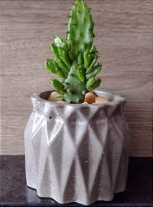 Vaso Origami