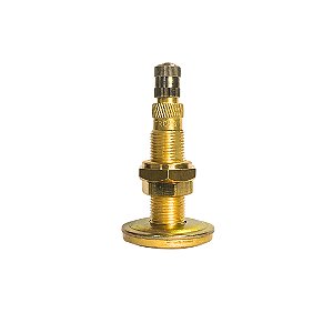 ST10234-221A Válvula Atarraxante P/Pneu com Câmara 56mm