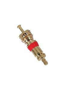 ST10389-5405 Núcleo válvula 0-200PSI dourado