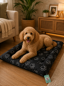COLCHONETE PET TAM M 48X60 CM