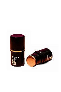STICK BLUSH MULTIUP