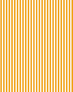 Sintético Dollaro - LISTRADO LARANJA