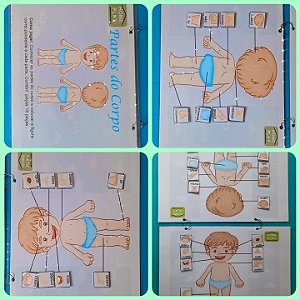 Partes do Corpo Humano