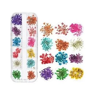Florzinhas Secas Cores Variadas 15mm - 12 Unidades