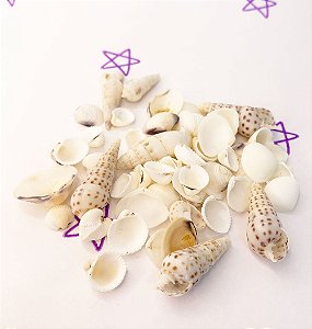 Kit Conchas Fundo do Mar - 40g