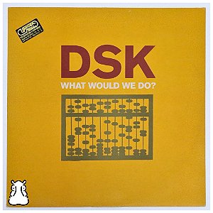 LP Dsk - What Would We Do - Disco De Vinil - Importado - Hm