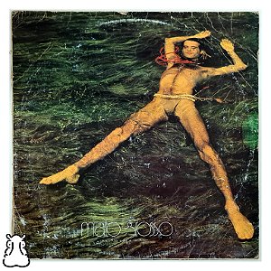 LP Ney Matogrosso - Mato Grosso - Vinil 1982 Encarte - Hm