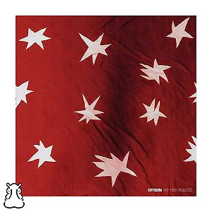 CD Citizen - As You Please - 2017 - Novo Lacrado - Hm