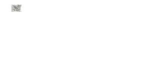 ROLETE - F002D13234