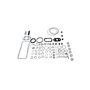 420124, REPARO DELPHI BOMBA DPS PKS 1006-6T / 6W,