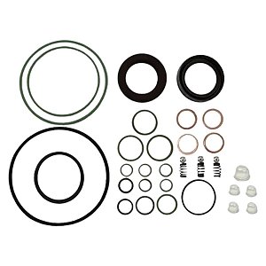 REPARO BOMBA CP3 1123182 - COMPLETO