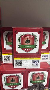 Charuto 7 Pontas