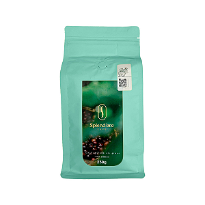 Café Especial Região Vulcânica 250g Splend'ore