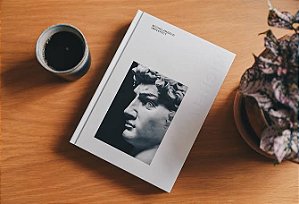 Livro Michelangelo Imperfect Matthias Wivel 2025