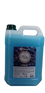 SABONETE LÍQUIDO MIX DE FRUTAS 5 L PREMISSE * Cheirinho de Tutti-frutti