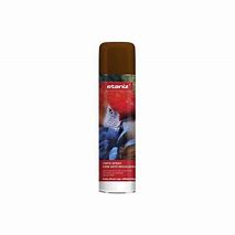 TINTA SPRAY 400ML MARROM BRILHANTE ETANIZ