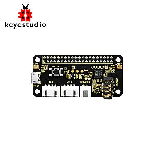 Placa ReSpeaker Keyestudio com 2 Microfones Pi HAT p/ Raspberry Pi 4B/3B+