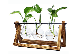 Vaso Hidropônico De Vidro Triplo Base Madeira