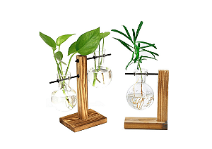 Vaso Hidropônico De Vidro Duplo Base Madeira