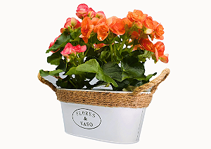 Jardineira Flower Metal Grande