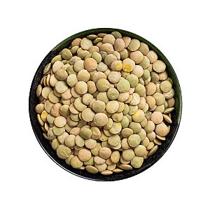 Lentilha Canadense