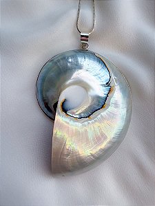 Colar - Deep Ocean Large Shell