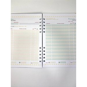 Planner Financeiro Anual - Sem Data