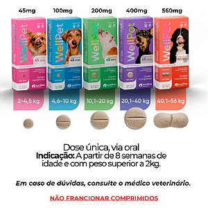 Proteção que Cuida de Quem Você Ama Todos os Dias