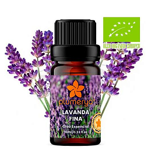 Lavanda Fina Orgânica 10ml(Lavandula angustifolia)