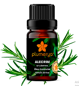 Alecrim QT Cânfora 10ml (Rosmarinus officinalis)