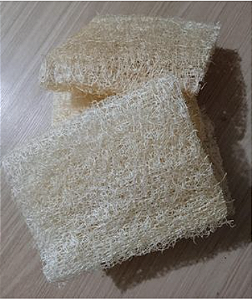 Esponja Vegetal