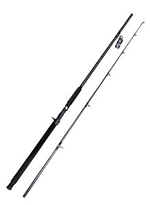 Vara Voxxi V400C 2402 2,40m 20-40 LBS carretilha 2 partes