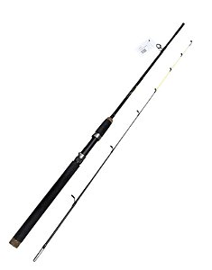 Vara Fishing Soletech 1,65m 81 lb 2 Partes p/ molinete
