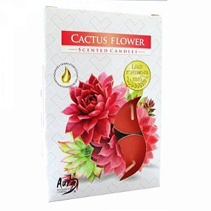 Velas Tealights Perfumadas Caixa com 6 Unidades Aura - Flor de Cacto