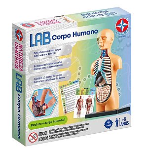 Lab Corpo Humanojogo Interativo Criança Brinquedo