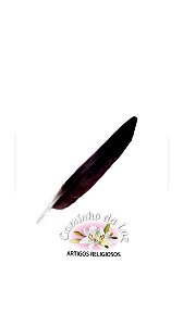 Pena urubu