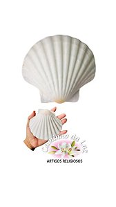 Conchas diversas