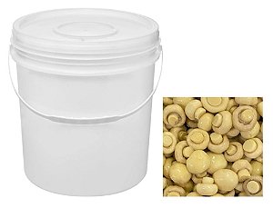 Cogumelo Champignon Inteiro Balde 15 kg - Rofimex