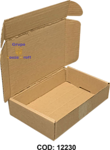 Caixa de Papelão SEDEX Corte Vinco 24x16x5 - Pacote com 100