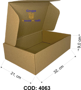 Caixa de Papelão SEDEX Corte Vinco 32x21x9 - Pacote com 50