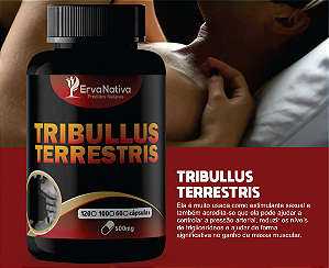 Tribullus Terrestris, 40% Saponinas, 500 Mg, 100 Capsulas.