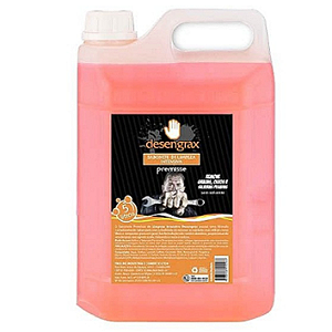 SABONETE DESENGRAXANTE 5L DESENGRAX PREMISSE S/MICRO