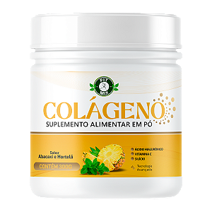 💛 Colágeno Fit Mix 300g – Com Ácido Hialurônico + Vitamina C + Silício | Sabor Abacaxi & Hortelã 🍍🌿
