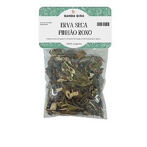 Erva Seca - Pinhão Roxo