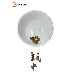 Fava Chama Freguês Marrom