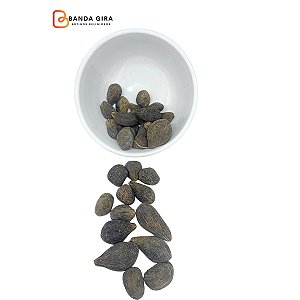 Fava Coquinho de Dênde