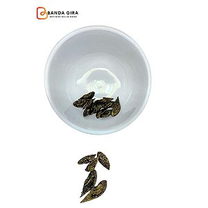 Fava da Fortuna