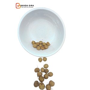 Fava da Paz