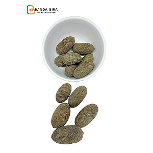 Fava Escroto de Exu